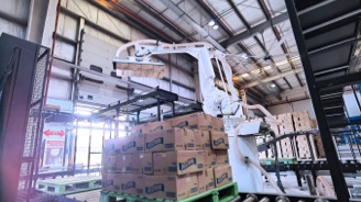 To improve stacking and palentizing efficiency in the whole box loading and unloading link through the automatic disassembly and palentizing mechanical arm